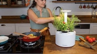 Updated Indoor Gardening Solutions Image 1