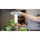 Updated Indoor Gardening Solutions Image 2