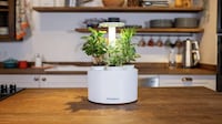 Updated Indoor Gardening Solutions Image 3