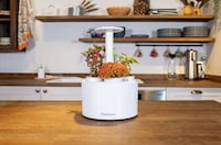 Updated Indoor Gardening Solutions Image 4