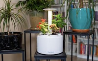 Updated Indoor Gardening Solutions Image 6