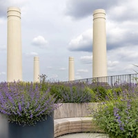 London-Based Garden Roofscapes Image 1