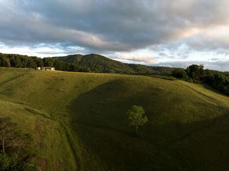 Perched Grassy Hillside Homes