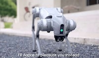 Second-Generation Robot Dog Companions Image 3