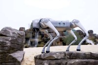 Second-Generation Robot Dog Companions Image 4