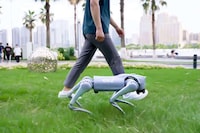Second-Generation Robot Dog Companions Image 5