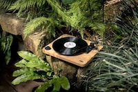 Natural Multi-Material Turntables