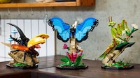 Life-Sized Puzzled Insect Capsules Image 1