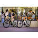 Virtual E-Bike Websites Image 2