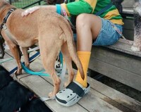 Medical Boot-Inspired Mules Image 4