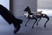 AI-Powered Robotic Dog Companions Image 5