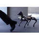 AI-Powered Robotic Dog Companions Image 5