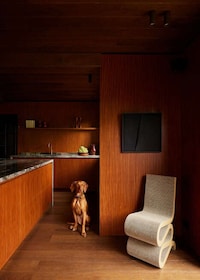 Afromosia Wood-Defined Dutch Homes Image 2