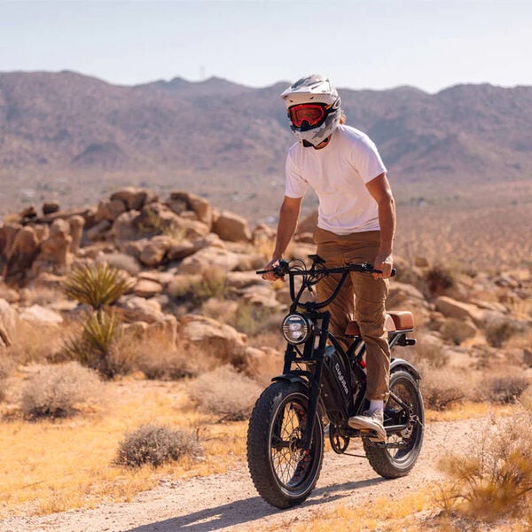 Moped-Style E-bikes