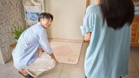 Appliance-Sized Carpet Collections Image 6