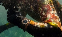 Collaborative Aquatic Timepieces Image 2