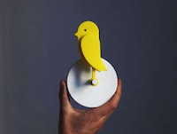 Bird-Like CO2-Monitoring Devices Image 1