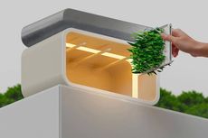 Hydroponic Plant-Growth Ecosystems Article Thubnail