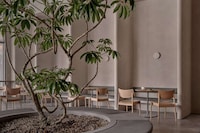 Pared-Back Coffee Interiors Image 2
