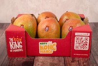 Novel Mango Varieties Image 1