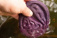 Organic Water Quality Testers