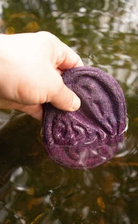 Organic Water Quality Testers Image 2