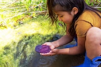 Organic Water Quality Testers Image 8