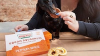 Autumnal Doggy Donuts Image 1
