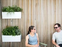 Chic Self-Watering Garden Planters
