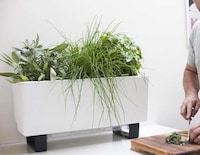 Chic Self-Watering Garden Planters Image 2