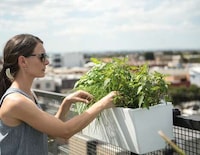 Chic Self-Watering Garden Planters Image 3