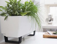 Chic Self-Watering Garden Planters Image 4