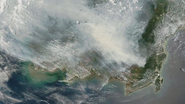 Wildfire-Predicting AI Models Image 2