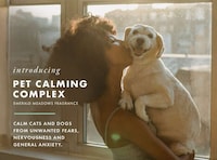Calming Pet Fragrances Image 1