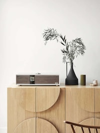 Connected Retro Design Speakers