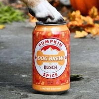 Autumnal Dog-Friendly Brews Image 1