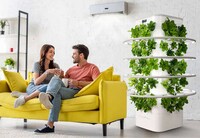 Hydroponics Indoor Garden Designs
