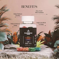 Vegan Lab-Tested CBD Edibles