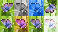 AI Image Watermarking Tools Image 1