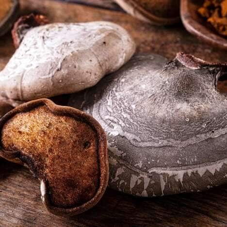 Restorative Mushroom Extracts