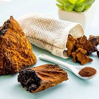 Restorative Mushroom Extracts Image 2