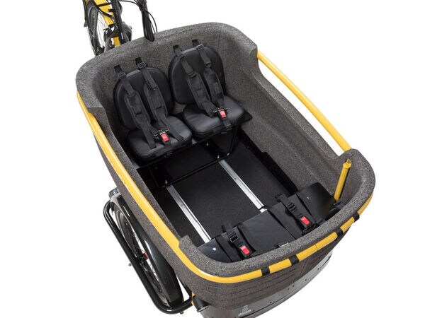 Family-Friendly Cargo E-Trikes