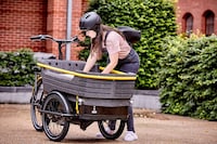 Family-Friendly Cargo E-Trikes Image 2