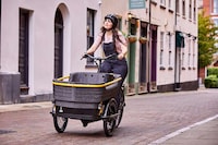Family-Friendly Cargo E-Trikes Image 3