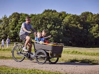 Family-Friendly Cargo E-Trikes Image 4