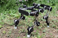 Independently-Running Robotic Dogs Image 1