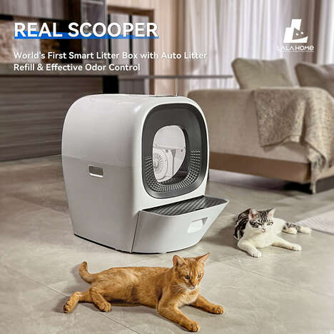 Automatic Cat Litter Boxes