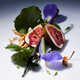 Sensual Fig Fragrances Image 2