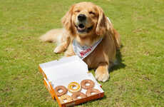 Dog-Friendly Pumpkin Donuts