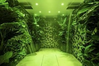 Luxury Holistic Wellness Vacations Image 4